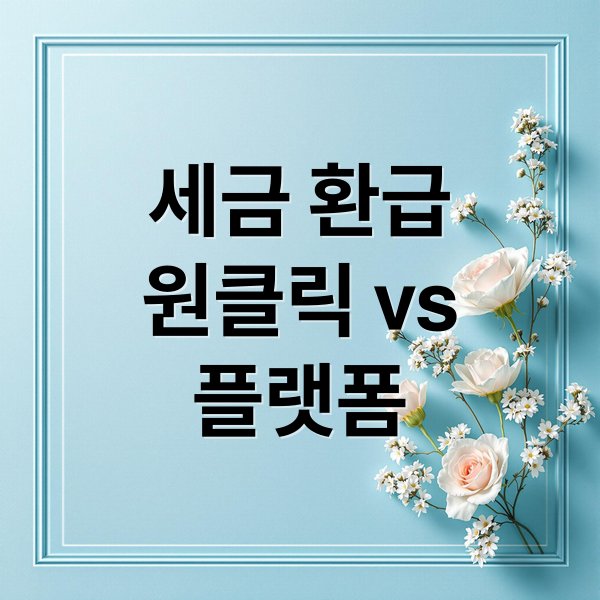 세금 환급
원클릭 vs
플랫폼 (세금 환급 플랫폼 비교)