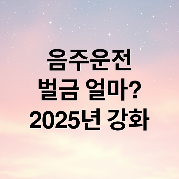 음주운전
벌금 얼마?
2025년 강화 (음주운전 벌금)