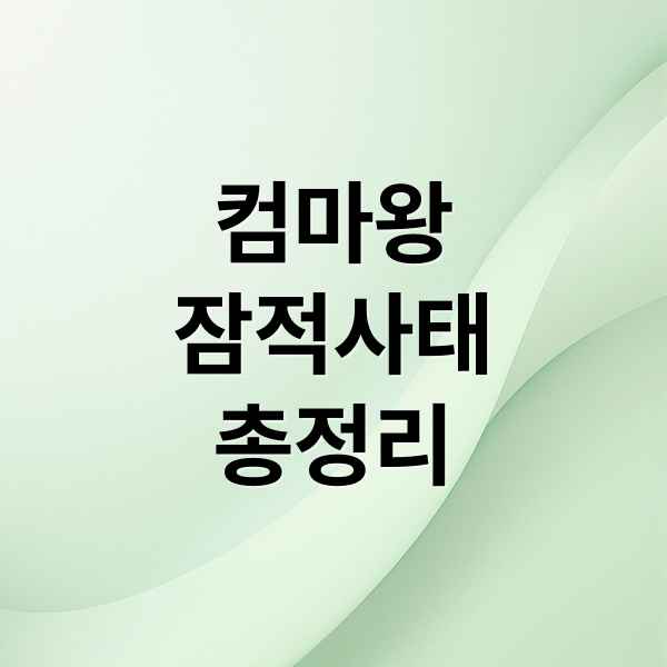 컴마왕
잠적사태
총정리 (조립PC업체 컴마왕 대표 잠적)