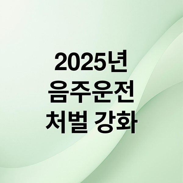 2025년
음주운전
처벌 강화 (음주운전 형사처벌 기준 초범 재범)