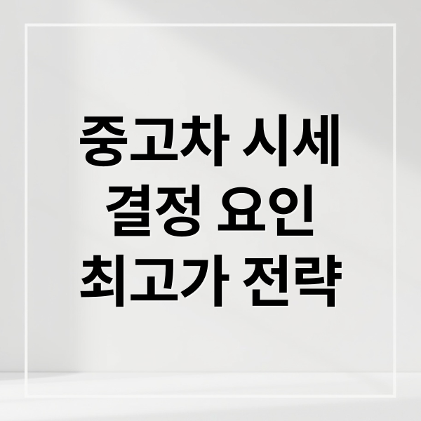 중고차 시세
결정 요인
최고가 전략 (중고차 시세)