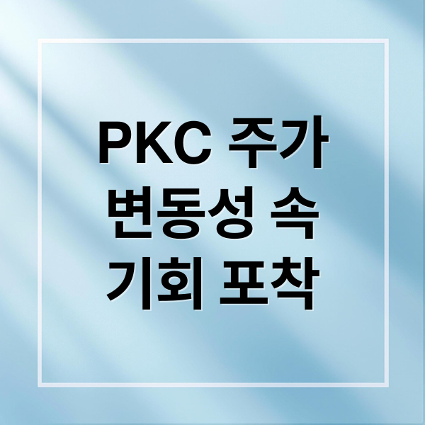 PKC 주가
변동성 속
기회 포착 (PKC 주가 기술 혁신 변동성)
