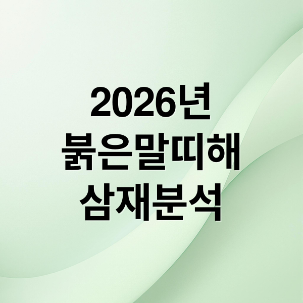 2026년
붉은말띠해
삼재분석 (2026년 띠 병오년 삼재띠)