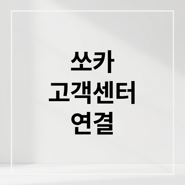 쏘카
고객센터
연결 (쏘카 고객센터 상담원 연결)