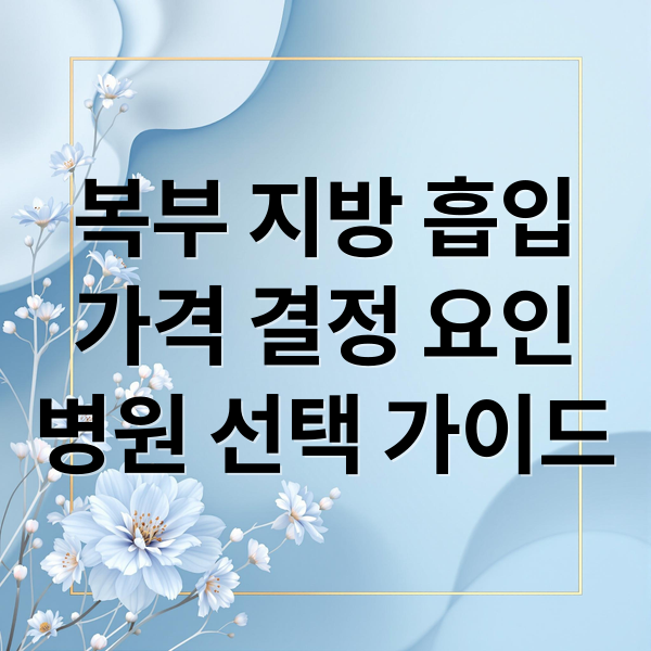 복부 지방 흡입
가격 결정 요인
병원 선택 가이드 (복부지방흡입 가격 비용)