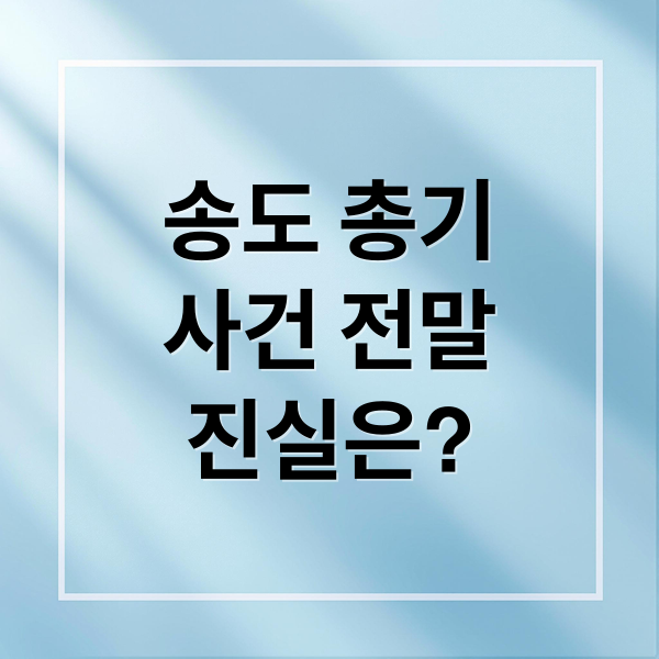 송도 총기
사건 전말
진실은? (송도 총기사건 루머와 약손명가)