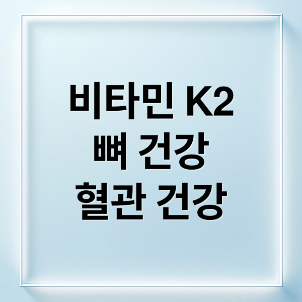 비타민 K2
뼈 건강
혈관 건강 (비타민 K2 효능)
