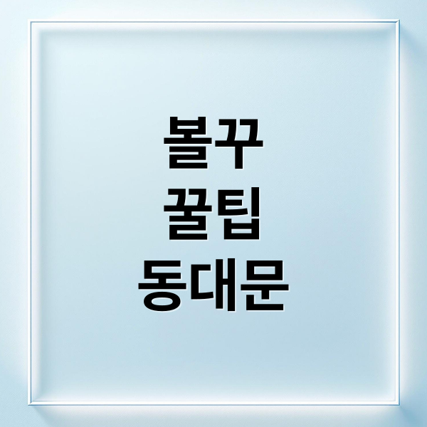 볼꾸
꿀팁
동대문 (동대문 볼펜꾸미기 2030)