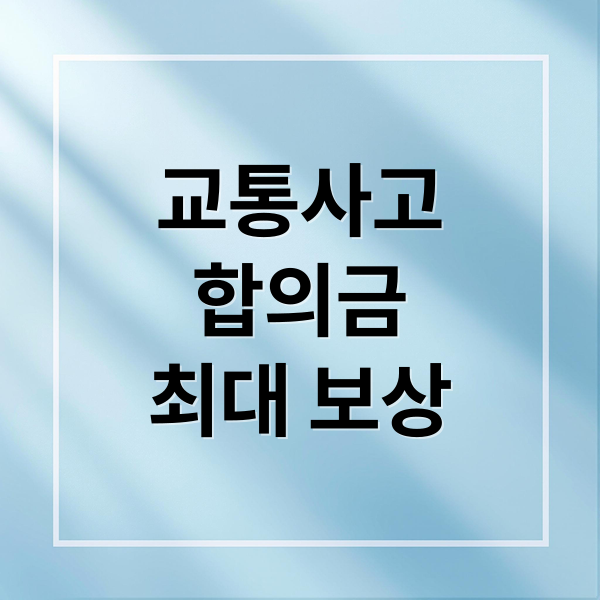 교통사고
합의금
최대 보상 (교통사고 합의금)