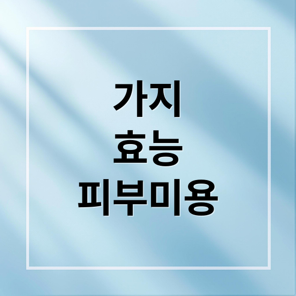 가지
효능
피부미용 (가지 효능 6가지 부작용)
