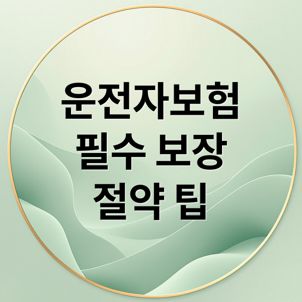 운전자보험
필수 보장
절약 팁 (운전자보험)