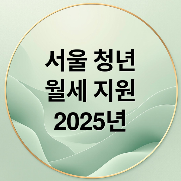 서울 청년
월세 지원
2025년 (청년월세지원)