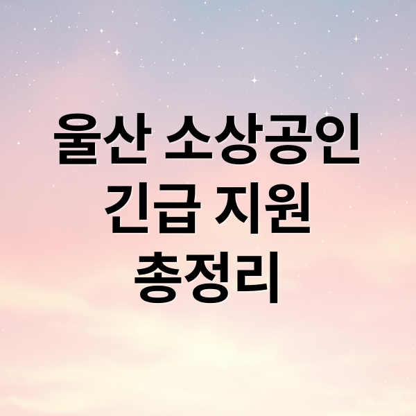 울산 소상공인
긴급 지원
총정리 (울산시 소상공인 긴급지원)