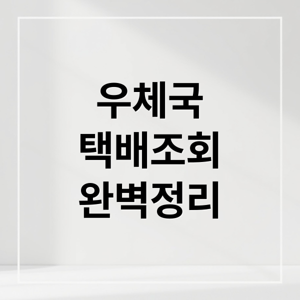 우체국
택배조회
완벽정리 (우체국 택배 배송조회)