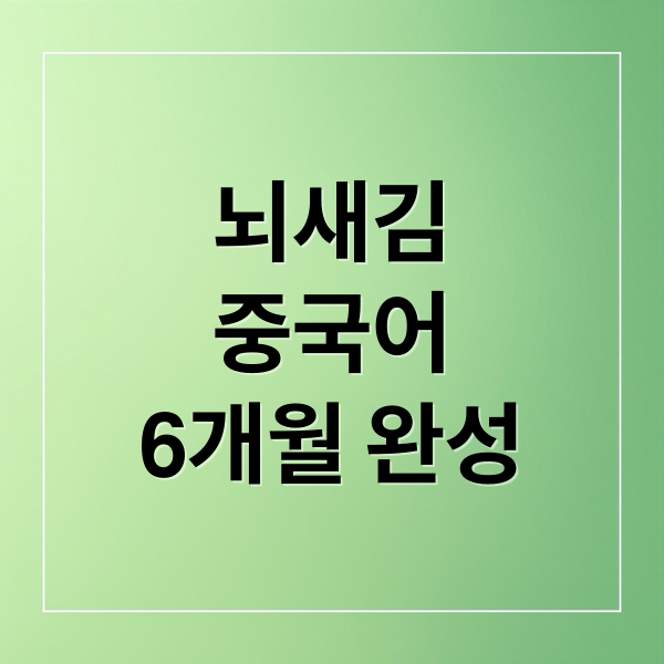 뇌새김
중국어
6개월 완성 (뇌새김 중국어)