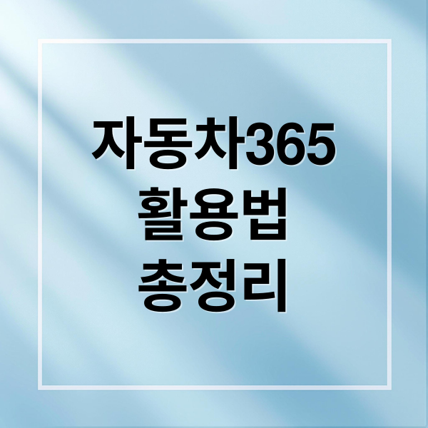 자동차365
활용법
총정리 (자동차 365 홈페이지)