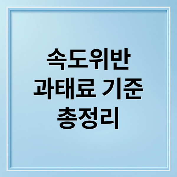 속도위반
과태료 기준
총정리 (속도위반 과태료 조회 30km 초과)