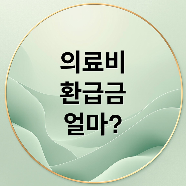 의료비
환급금
얼마? (의료비 환급금 조회)