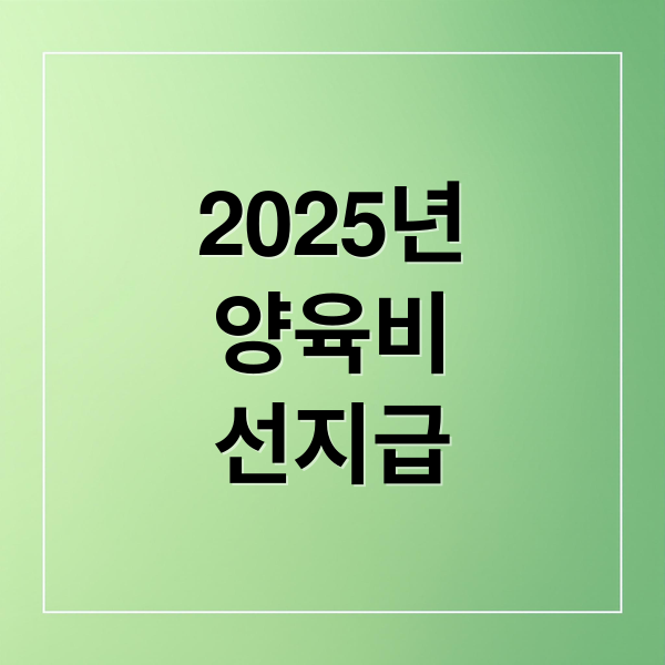 2025년
양육비
선지급 (양육비 선지급)