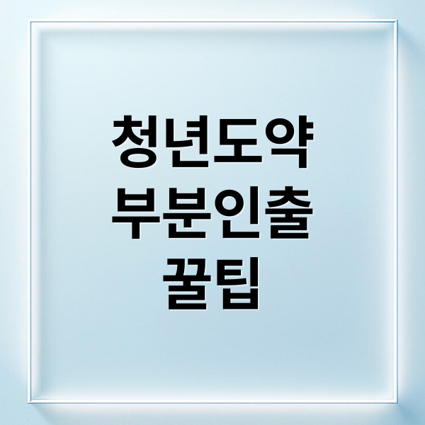 청년도약
부분인출
꿀팁 (청년도약계좌 부분인출)