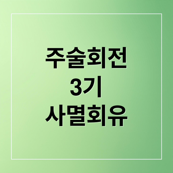 주술회전
3기
사멸회유 (주술회전 3기 사멸회유 방영일)