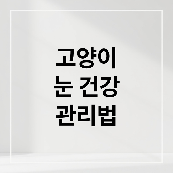 고양이
눈 건강
관리법 (고양이 눈 질환 증상 원인 관리)