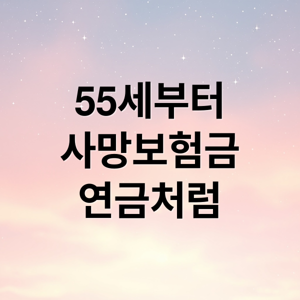 55세부터
사망보험금
연금처럼 (사망보험금 유동화)