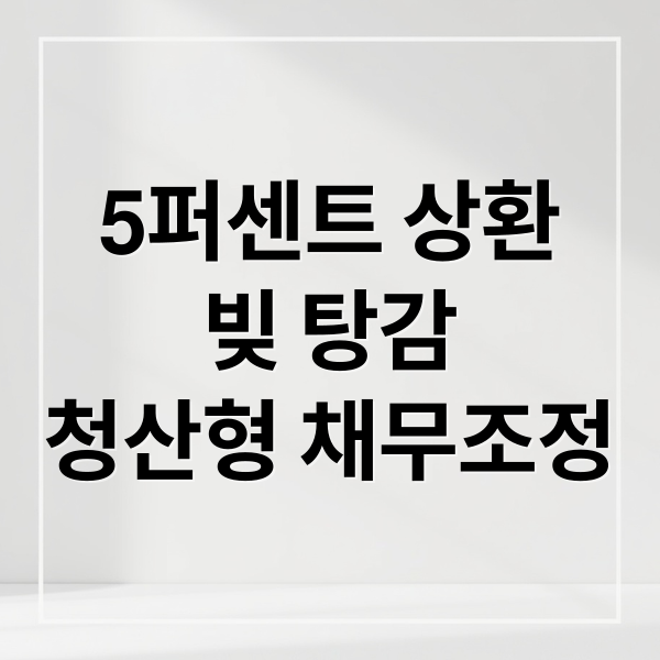 5퍼센트 상환
빚 탕감
청산형 채무조정 (청산형 채무조정 신청 채무탕감)