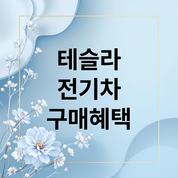 테슬라
전기차
구매혜택 (테슬라 전기차 세금 혜택)
