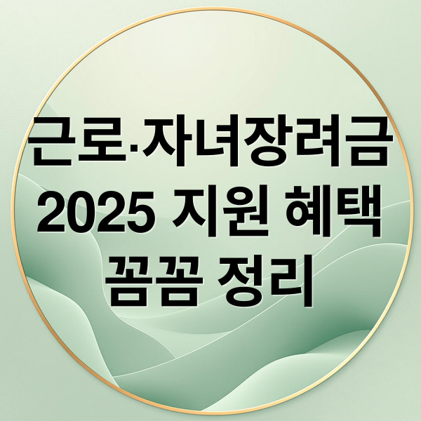 근로·자녀장려금
2025 지원 혜택
꼼꼼 정리 (2024 근로장려금 자녀장려금 신청 조건)