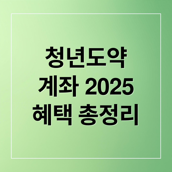 청년도약
계좌 2025
혜택 총정리 (2025 청년도약계좌 신청)