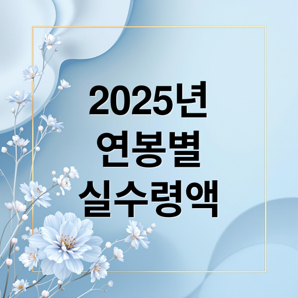 2025년
연봉별
실수령액 (연봉별 세금, 4대보험, 실수령액 한눈에 보기 (5천만원~1억))