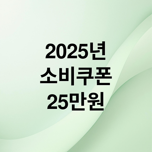 2025년
소비쿠폰
25만원 (전국민 25만원 소비쿠폰 2025)
