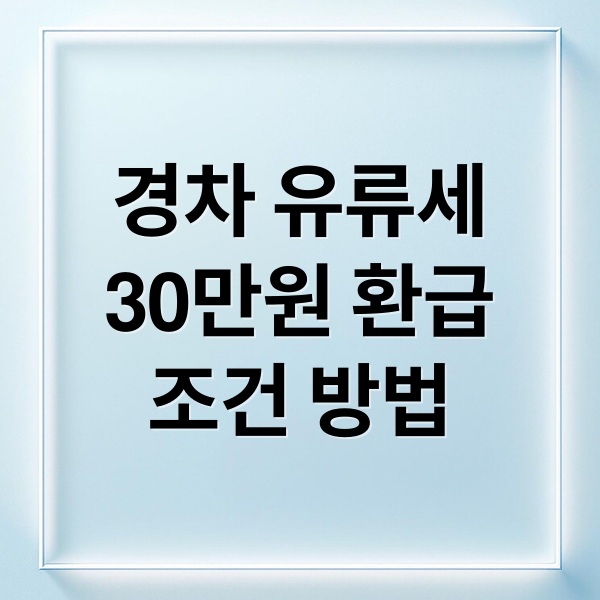 경차 유류세
30만원 환급
조건 방법 (경차 유류세 환급! 주유비 30만원 지원 조건, 신청 꿀팁)