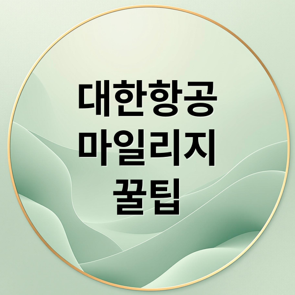 대한항공
마일리지
꿀팁 (대한항공 마일리지 카드)