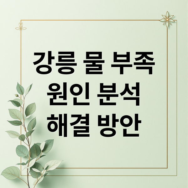 강릉 물 부족
원인 분석
해결 방안 (강릉 물부족 재난사태)