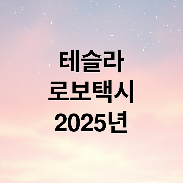 테슬라
로보택시
2025년 (테슬라 로보택시)
