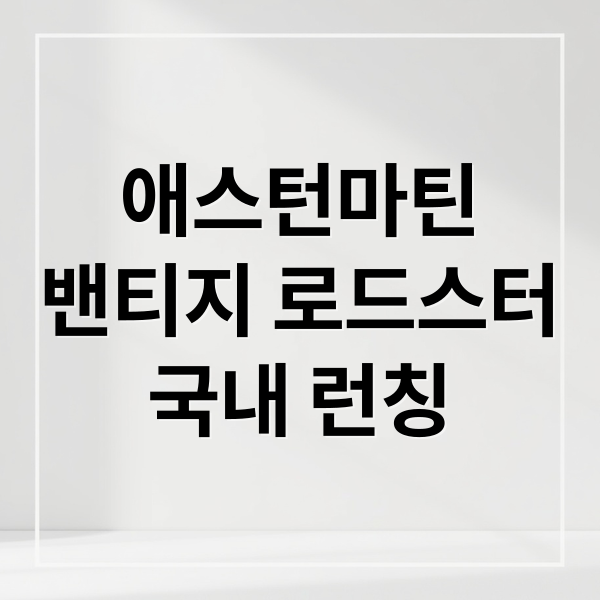 애스턴마틴
밴티지 로드스터
국내 런칭 (애스턴마틴 밴티지 로드스터 런칭)