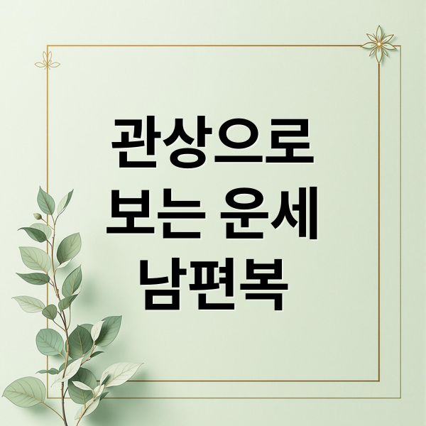 관상으로
보는 운세
남편복 (남편복, 재물복, 자식복까지? 관상으로 보는 운세 특징)