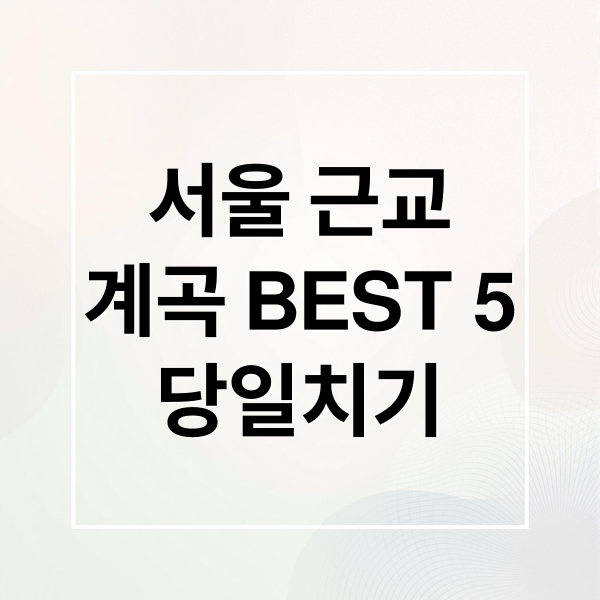 서울 근교계곡 BEST 5당일치기 (서울 근교 당일치기 계곡 BEST 5)