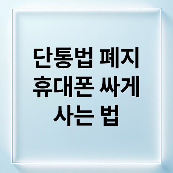 단통법 폐지
휴대폰 싸게
사는 법 (단통법 폐지 휴대폰 성지)