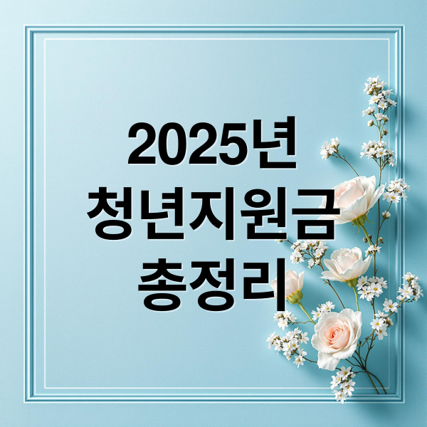 2025년
청년지원금
총정리 (청년지원금)