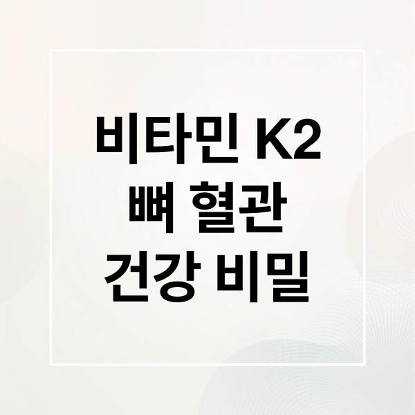 비타민 K2
뼈 혈관
건강 비밀 (비타민 k2 음식)