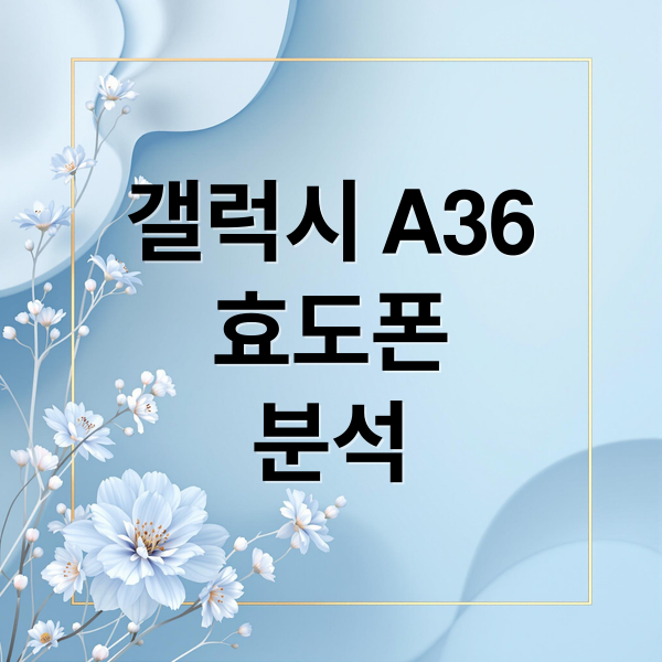 갤럭시 A36
효도폰
분석 (갤럭시 A36 5G 2025 효도폰)