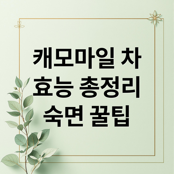 캐모마일 차 효능 총정리