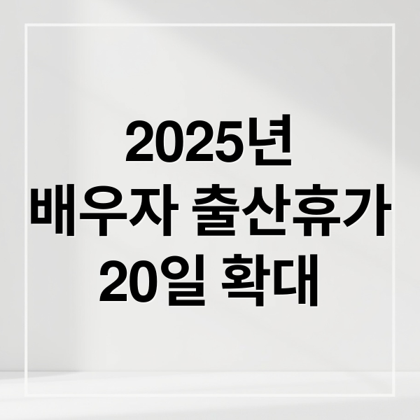2025년
배우자 출산휴가
20일 확대 (배우자 출산휴가 급여 신청 서류)