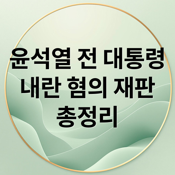 윤석열 전 대통령
내란 혐의 재판
총정리 (윤석열 전 대통령 내란 혐의)