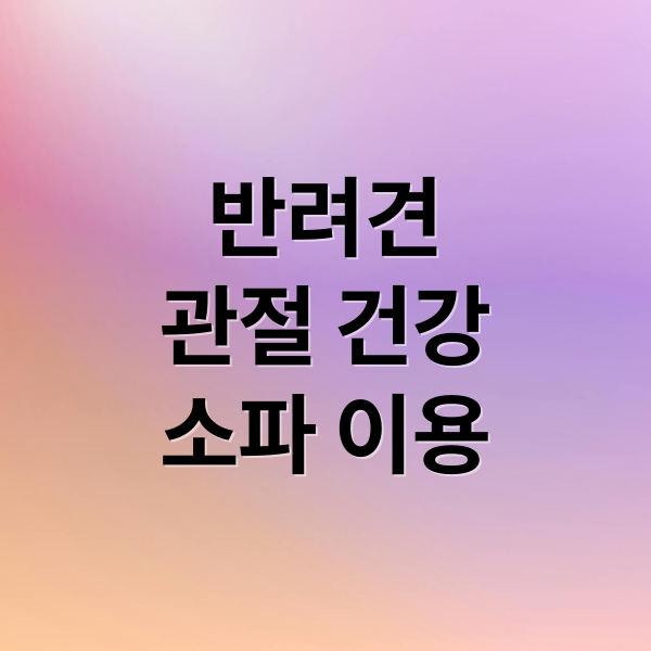 반려견
관절 건강
소파 이용 (반려견 소파 망설임 관절 부담)