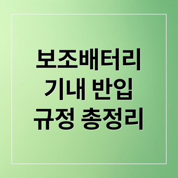 보조배터리
기내 반입
규정 총정리 (비행기 보조배터리 용량)