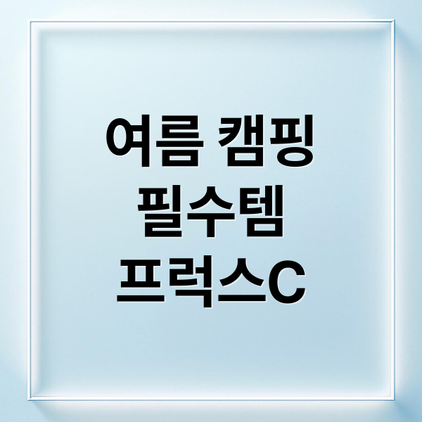 여름 캠핑
필수템
프럭스C (땀은 추억이 아니야! 쿨하게 떠나는 여름 캠핑 필수템)